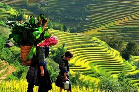 Travel to Sapa